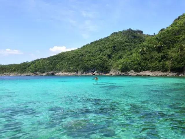 哪里有流浪猫?-专业的问答类网站
