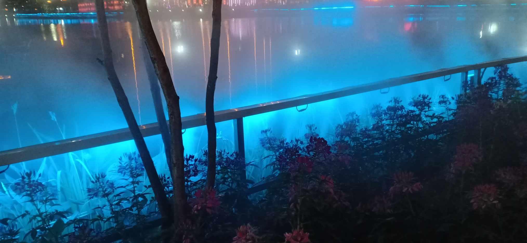 喝蜂蜜水能够促进肝脏修复,是真是假?肝病患者都能喝蜂蜜水吗?-有问必答平台,解答您的所有疑问